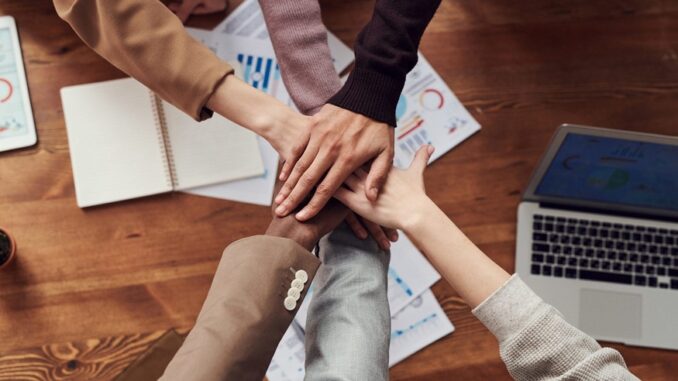 A Information to Growing Efficient Variety Coaching for Your Office